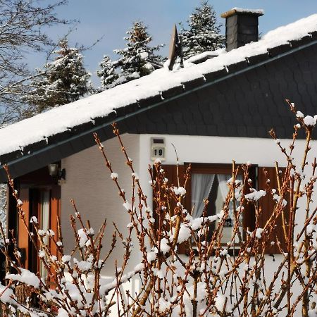 Bb19 Eifel-Ferienhaus Am Moseltal Mit Saunahaus Beuren  Eksteriør billede