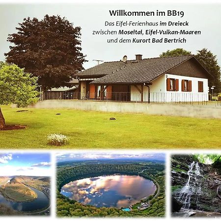 Bb19 Eifel-Ferienhaus Am Moseltal Mit Saunahaus Beuren  Eksteriør billede
