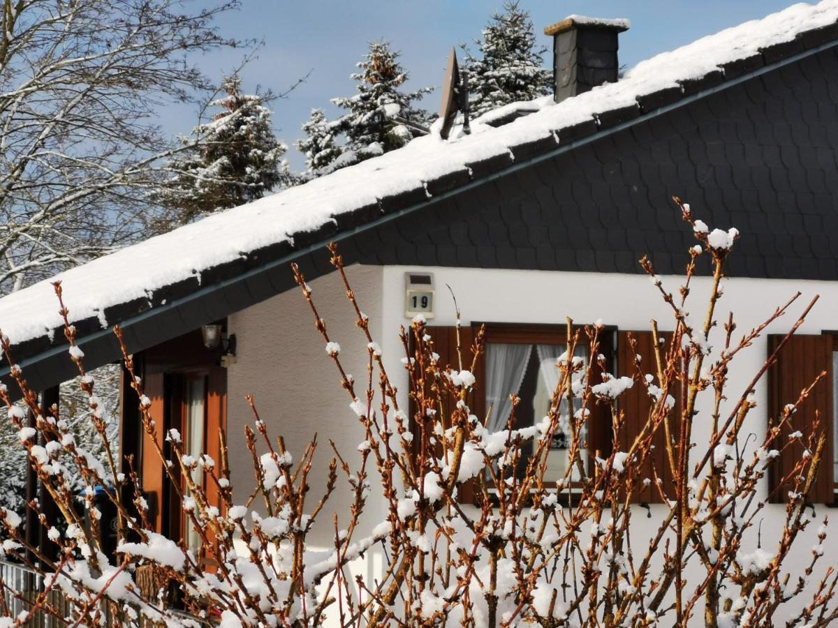 Bb19 Eifel-Ferienhaus Am Moseltal Mit Saunahaus Beuren  Eksteriør billede