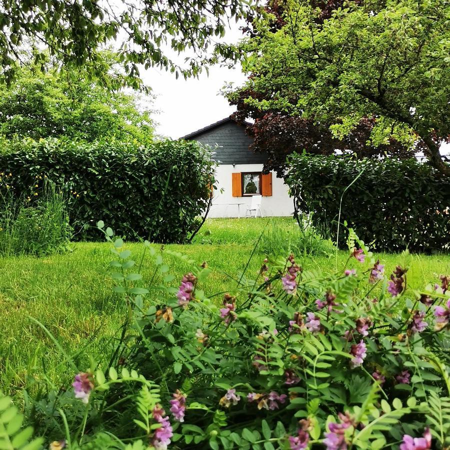 Bb19 Eifel-Ferienhaus Am Moseltal Mit Saunahaus Beuren  Eksteriør billede