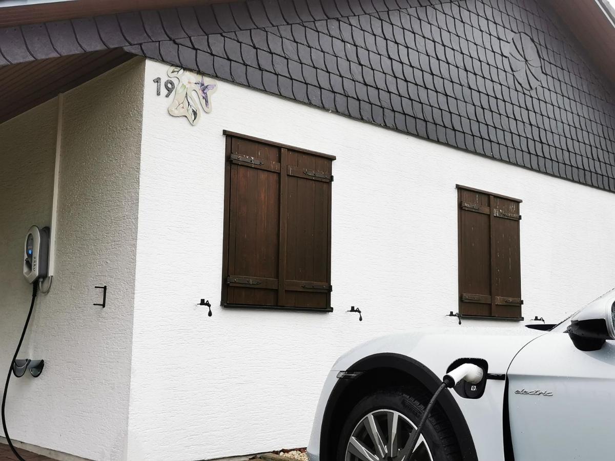 Bb19 Eifel-Ferienhaus Am Moseltal Mit Saunahaus Beuren  Eksteriør billede