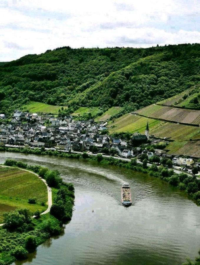 Bb19 Eifel-Ferienhaus Am Moseltal Mit Saunahaus Beuren  Eksteriør billede