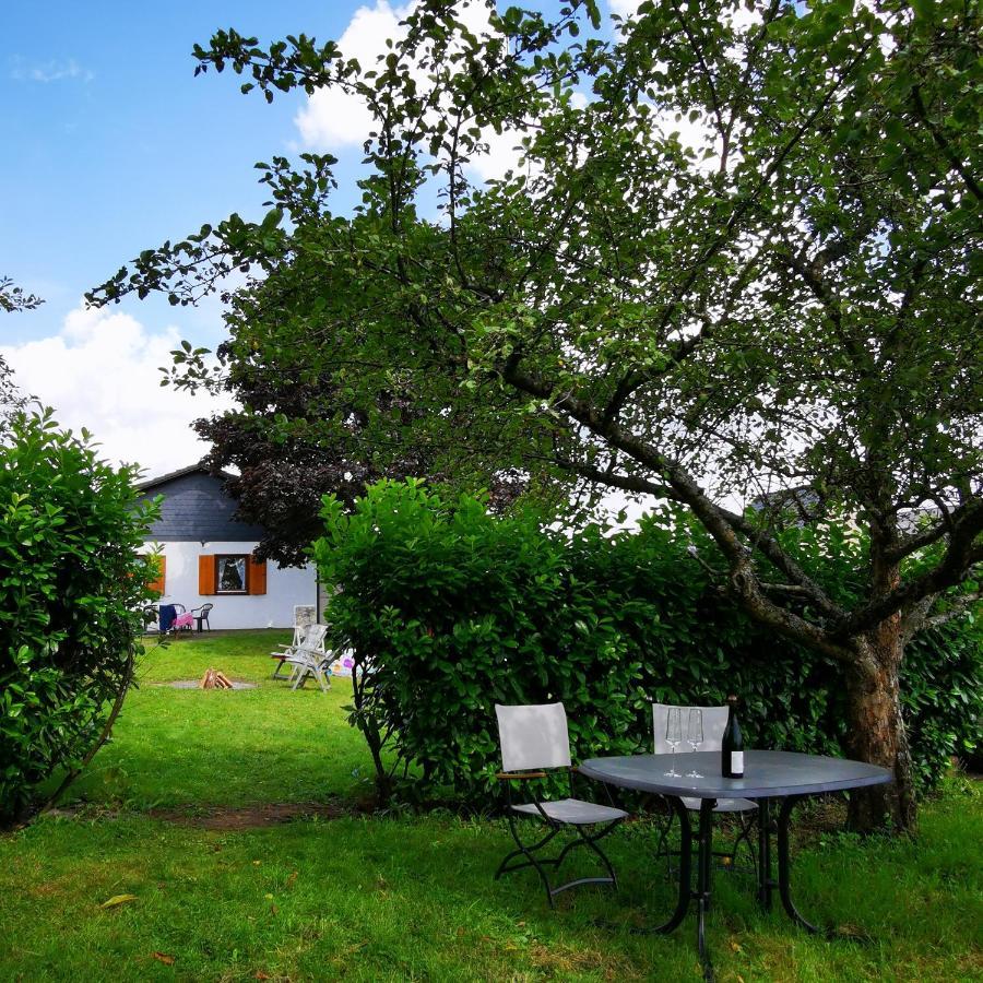 Bb19 Eifel-Ferienhaus Am Moseltal Mit Saunahaus Beuren  Eksteriør billede